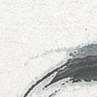 執(zhí)業(yè)護(hù)士